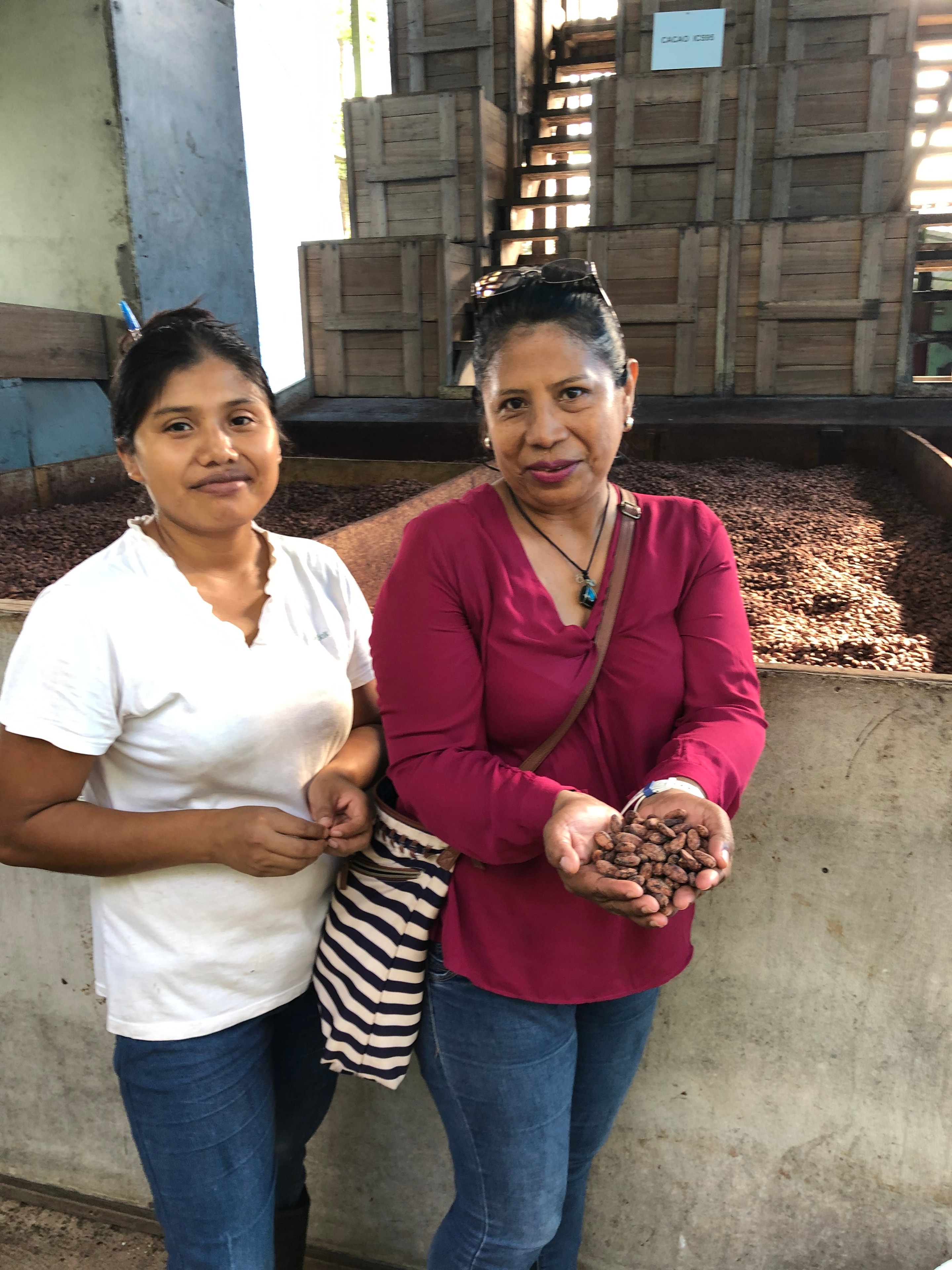 Our team holding freshly dried organic cacao beans, Bocas del Toro